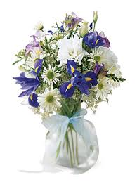 Check spelling or type a new query. Official Site Of Clifford S Flowers Top Florist Quincy Boston Ma