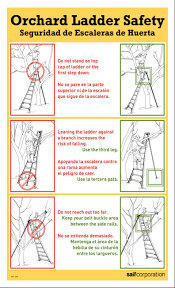 proper use of ladders ohioline