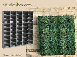 green wall systems drip line