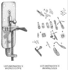 ANTON VAN LEEUWENHOEK: Biografía, Microscopio, y más