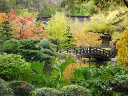 Hakone Gardens Where Bamboo Forests