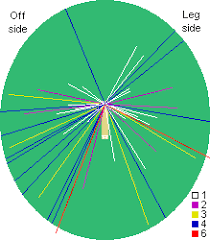 Dms Explanation Of Cricket Statistics