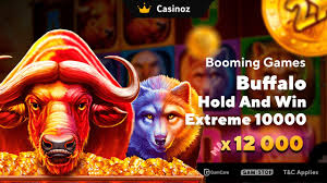 Buffalo Hold And Win Extreme 10000 by Booming Games 🎰 Slot Review 2026 & Free Spins, Demo Play now