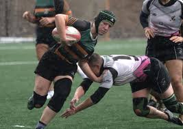 new haven tops dii empire the rugby