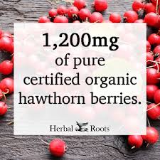 hawthorn berry 1200 mg 60 pure
