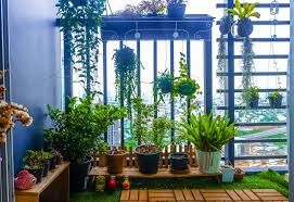 tips for a terrace garden or balcony