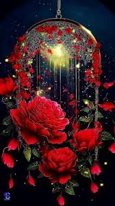 beautiful rose wallpaper sharechat