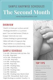 8 Month Old Feeding Schedule Examples And Forms