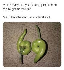 Make your own images with our meme generator or animated gif maker. Mom Why Are You Taking Pictures Of Those Green Chili S Meme Ahseeit