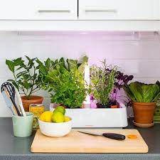 own greens indoor kitchen garden