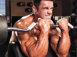 10 secrets for bigger arms gym junkies