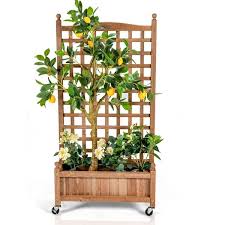 honey joy 50 in natural wood planter
