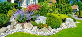 Top 10 Brisbane Garden Landscaping Ideas