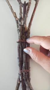 Twig Tree Wall Decor Diy