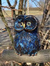 Cute Dark Blue Brown Owl Garden
