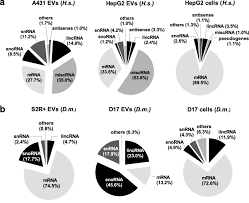 Human And Drosophila Evs Enclose Various Types Of