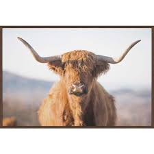 Highland Cow By Marmont Hill Floater