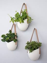 Hanging Plants Hanging Wall Planters