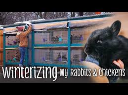 winterizing my rabbits ens diy
