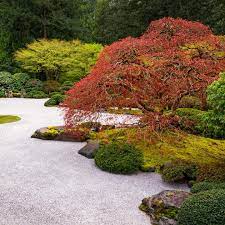 a anese zen garden in your backyard