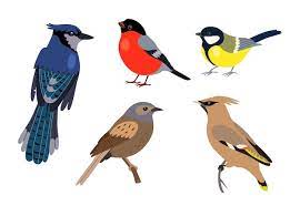 bird images free on freepik