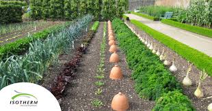 Veggie Garden In South Africa