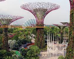 gardens by the bay supertrees