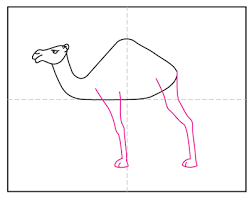 How to draw a camel. How To Draw A Camel Art Projects For Kids