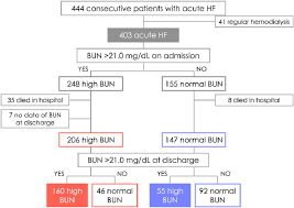 Patient Flow Chart Bun Blood Urea Nitrogen Hf Heart