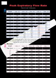 Pediatric Peak Flow Chart Templates At Allbusinesstemplates