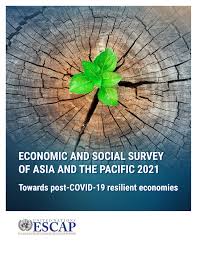 Economists wrote about economic policy but were rarely consulted by legislators before decisions were made. Economic And Social Survey Of Asia And The Pacific 2021 Towards Post Covid 19 Resilient Economies Escap