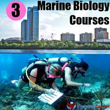 Practical Advice on Becoming a Marine Biologist   Dr Simon J Pierce 