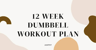 12 week dumbbell workout plan pdf