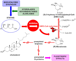 Catalysts Free Full Text Biocatalyzed Synthesis Of