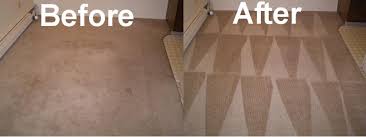 carpet cleaners nyc carpet cleaning