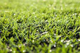 You will need finely crushed rock, sand, or gravel with particles. How To Install Artificial Turf Learning Centerlearning Center