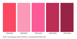 Pink Tourmaline Color Scheme Pink Schemecolor Com