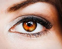 eye makeup application tips for brown eyes