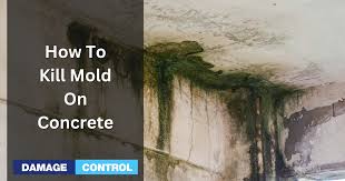 How To Get Rid Of Concrete Mold The