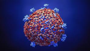 coronavirus most serious for people age 65