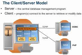 client server architecture of mysql