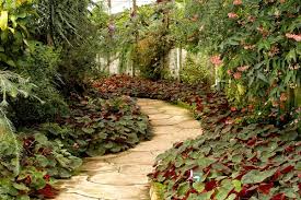 beautiful gardens to visit in the palm