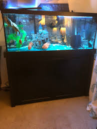 75 gallon fish tank and stand only for
