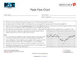 Peak Flow Chart 1 Pdfsimpli