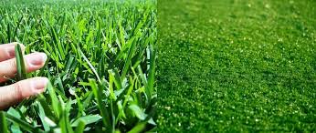 Turf Vs Grass Pros And Cons
