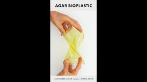 homemade bioplastic agar you