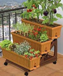 Confined Kitchen Garden Ideas