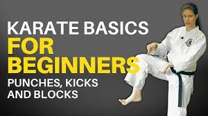 karate basics for beginners follow