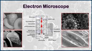 what is an electron microscope 4 types