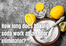baking soda work as an odor eliminator